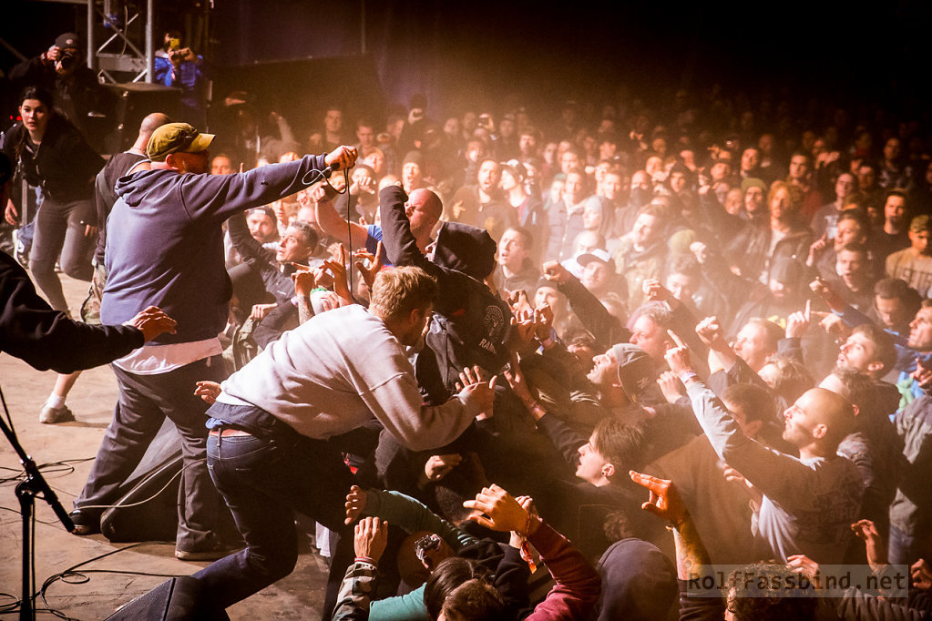 Judge live at Groezrck 2014